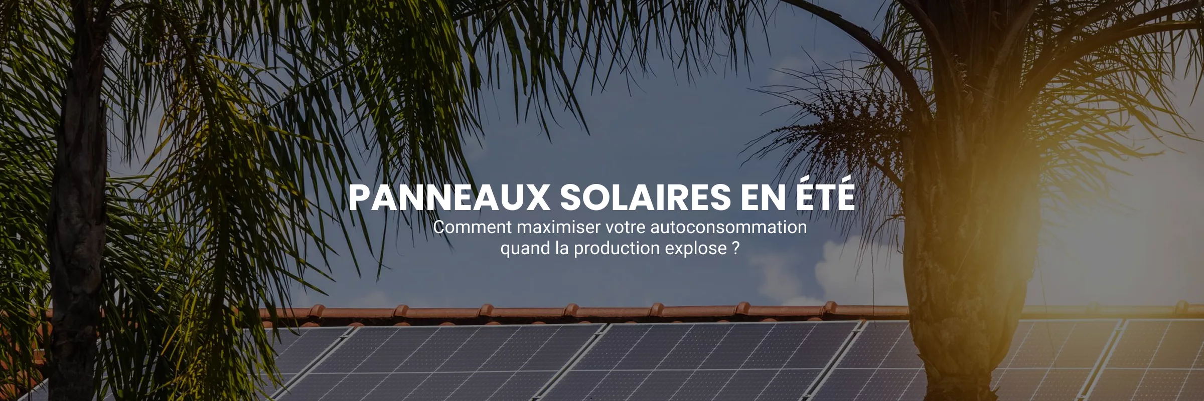 Panneaux solaires en été : comment maximiser votre autoconsommation quand la production explose ?